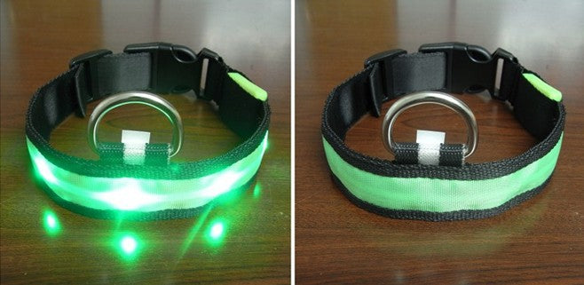 LED Light With Flashing Dog Collar