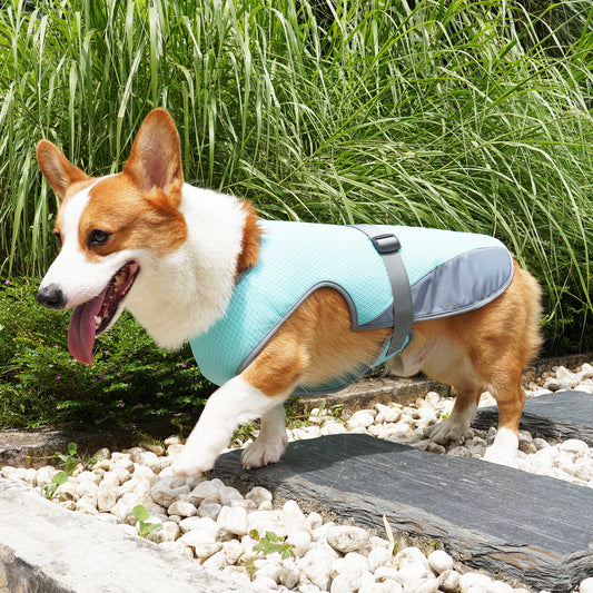 Pet Dog Cooling Clothing Vest