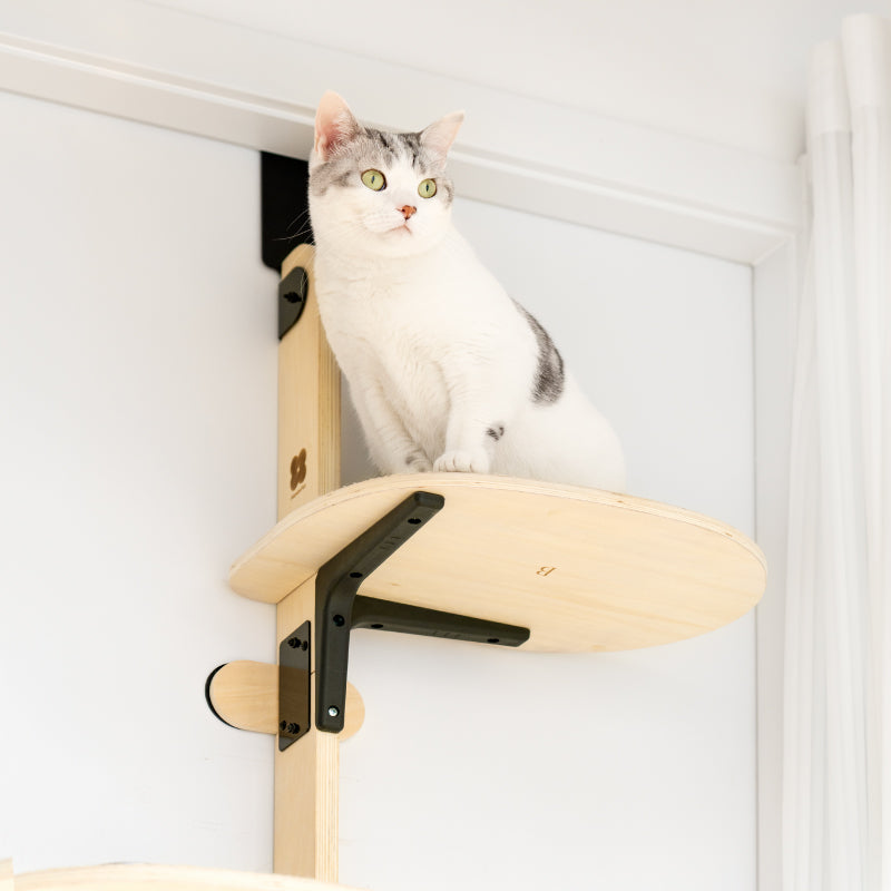 Door Hanging Bed Comfort Eco-Friendly Pine Wood Stable Durable Scratch Board Pet Climbing Frame