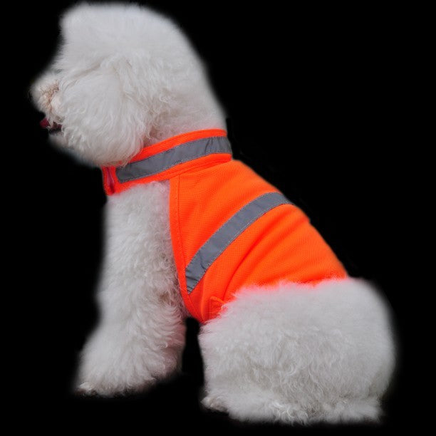 chaleco de seguridad fluorescente para perros