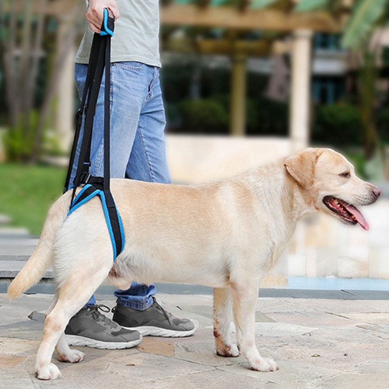 New Adjustable Dog Lift Harness for Back Legs Pet Support Sling Help Weak Legs Stand Up Pet Dogs Aid Assist Tool