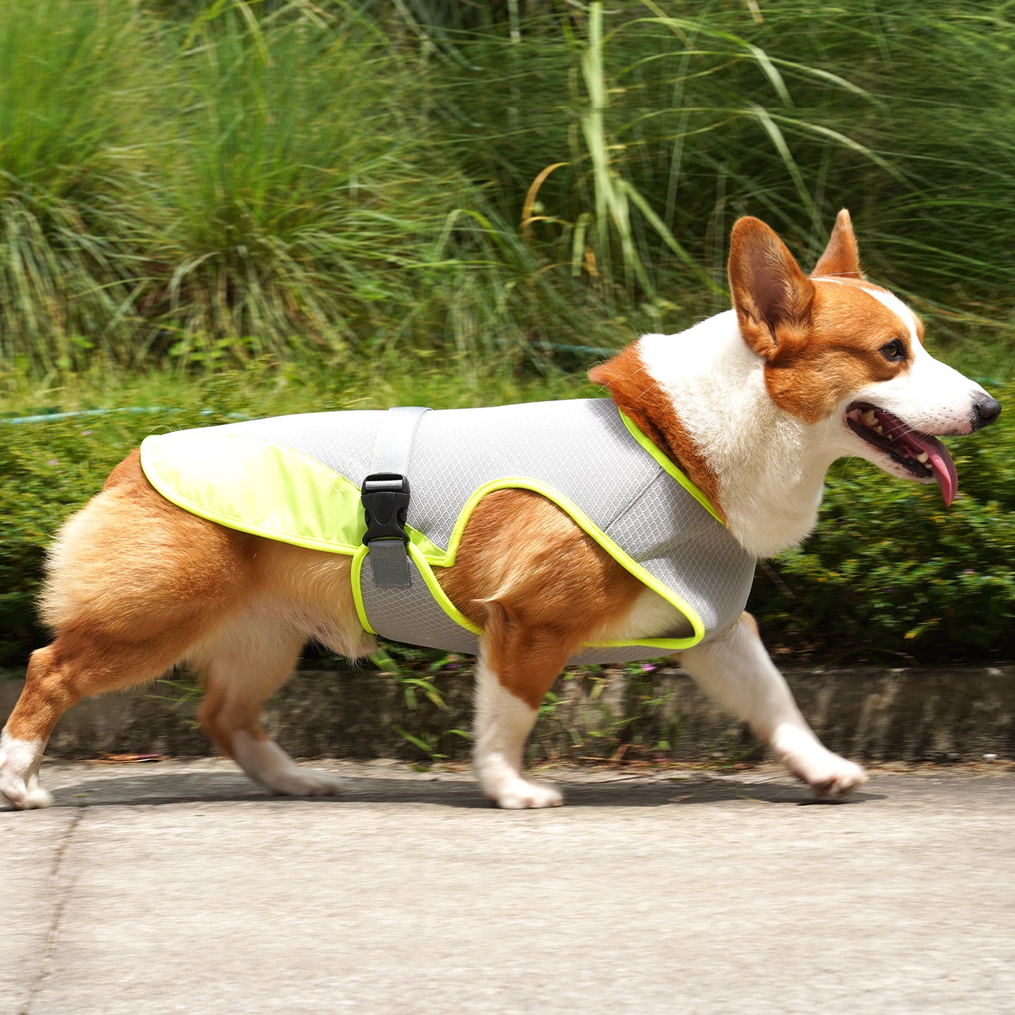 Chaleco de ropa de enfriamiento para perros