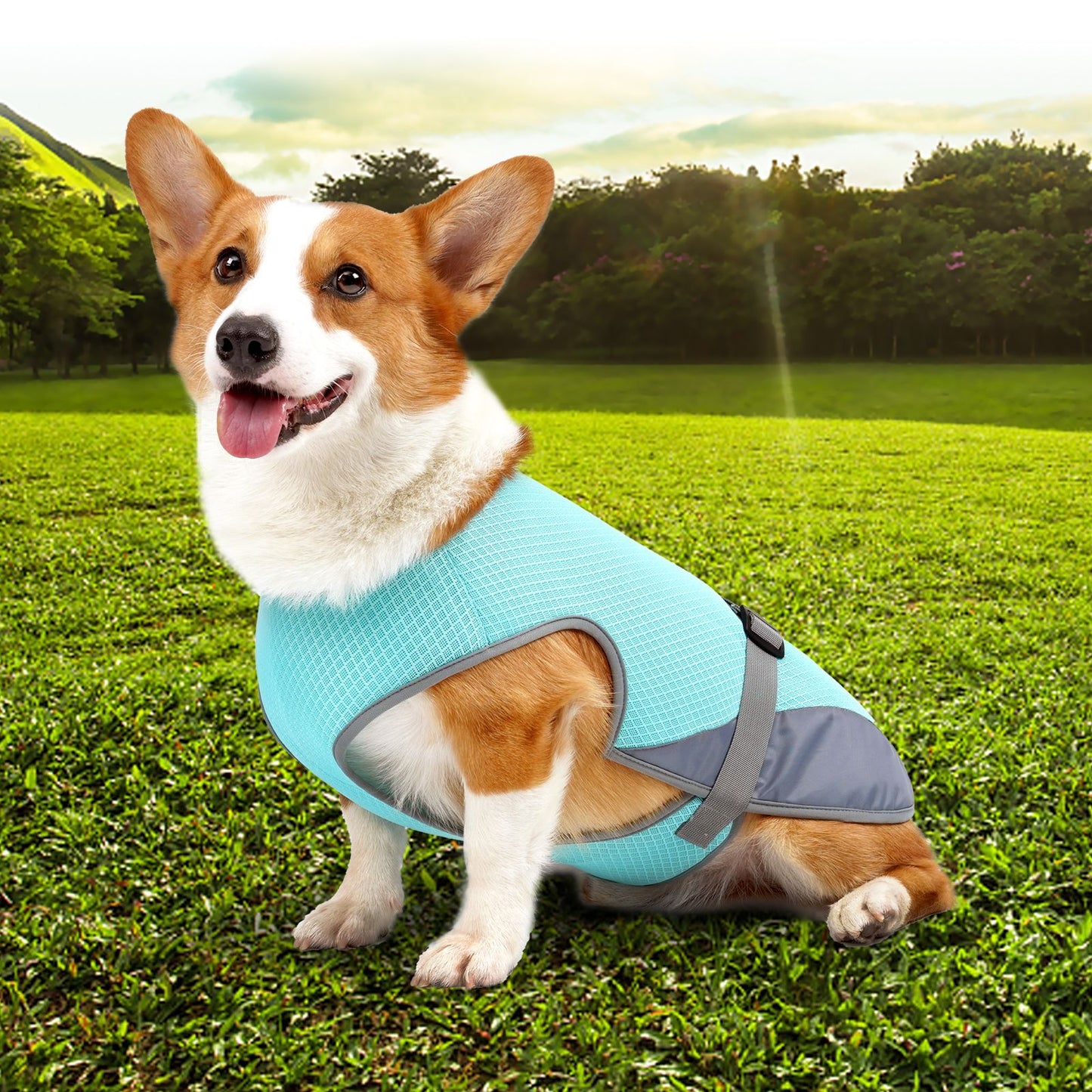 Pet Dog Cooling Clothing Vest